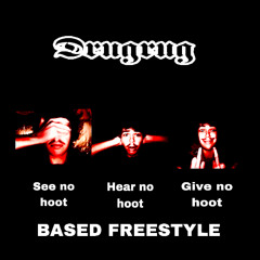 I DONT GIVE A HOOT BASED FREESTYLE
