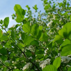 CH!P26_20220601