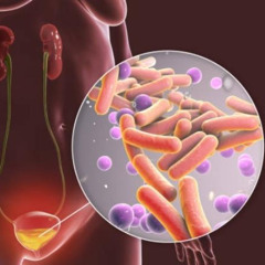 Tratamiento en las infecciones urinarias complicadas