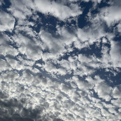 BREATHE (ROUGH) Prod: Saleem