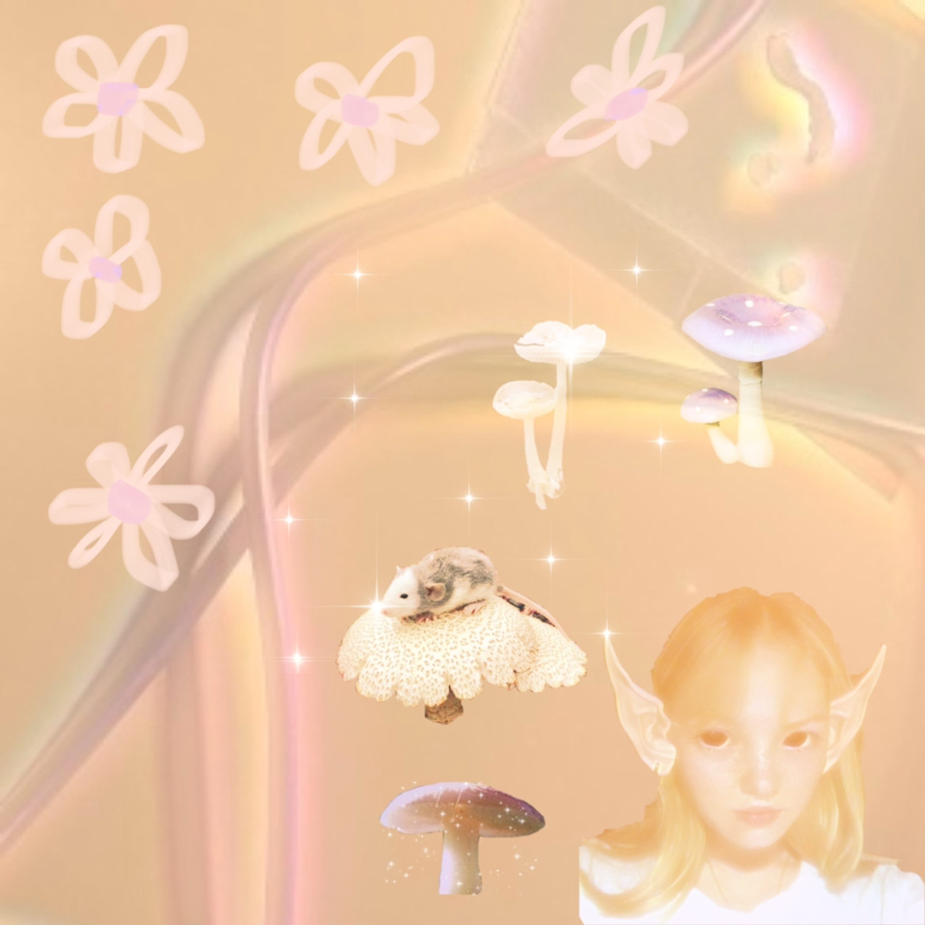 fungi realm #fungi episode artwork
