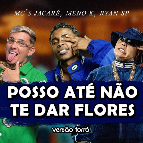 Mc Jacaré, Mc Meno K, Mc Ryan Sp - Posso Até Não Te Dar Flores (REMIX FORRÓ)
