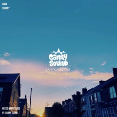 SWIN - Sunday (CS001)