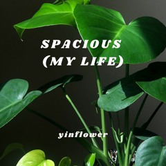 spacious (my life)
