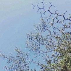 Serum 2 test 031925