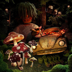 Pasto Flocco - DrugLuv (Prod. mixedmatches)