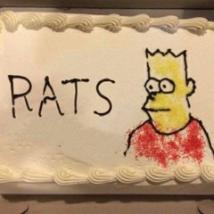 Fight Against A Remastered Rat