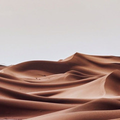 كن صدري ديرة من جملة الناس مهجورة