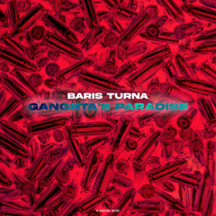 Baris Turna - Gangsta's Paradise