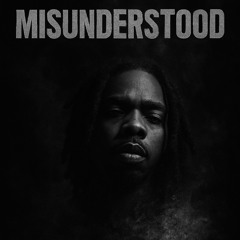Noddy - Misunderstood