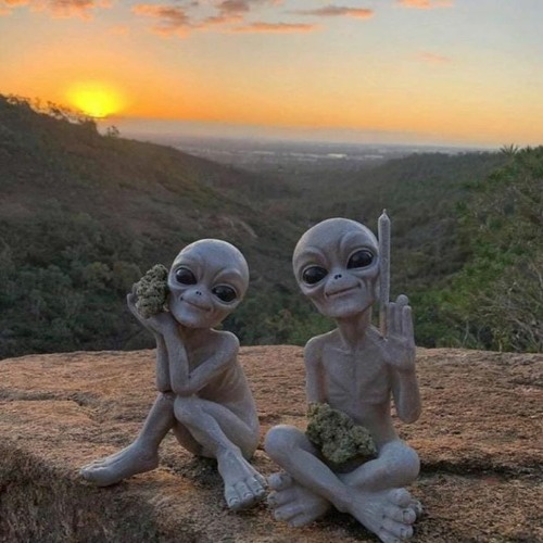 BIBABOCK by INOROC | 145 BPM