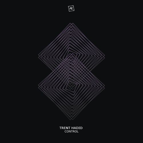 Trent Hadid - Take Control (original mix)