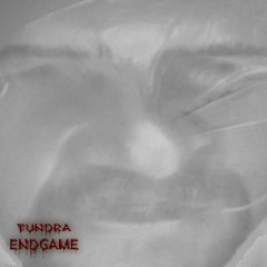 Tundra - EndGame