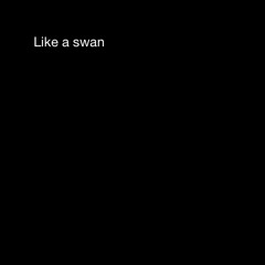like a swan(자작곡)