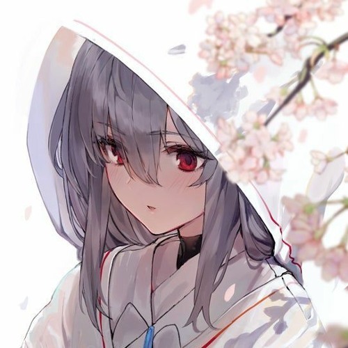 dolly - prada (iwi flip)