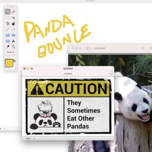 PANDA BOUNCE