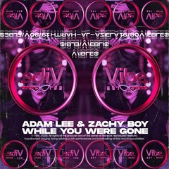 While You Were Gone (VIBLES0891)