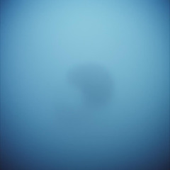 Prescriptions Void