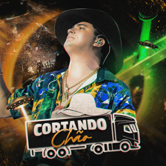 Voando Baixo (Ao Vivo)