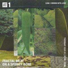 TIME IS AWAY - RAID ON THE MEDWAY 120721