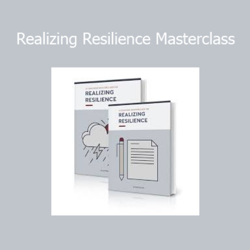 Download Hugo Alberts - Realizing Resilience Masterclass