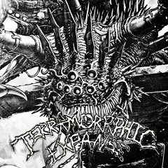 TERRAMORRPHIC EXPANSE