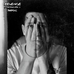 Revenge (Tribe Mix)