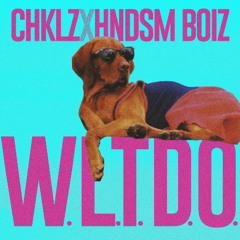 CHKLZ X HNDSM Boiz - W.L.T.D.O. (Radio Edit)