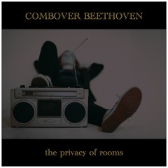 The Privacy Of Rooms (Radio Edit) - Master