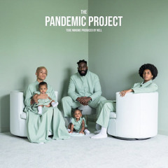 THE PANDEMIC PROJECT [PRIVATE]