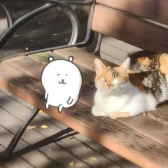 chú ếch hết buồn - jun phạm.mp3