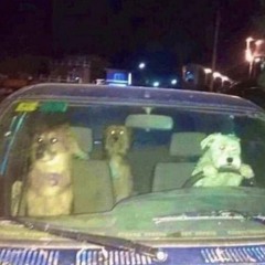 High As Fuck In My Car