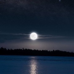 Pavane And Minuet In The Moonlight