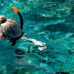 Best Snorkeling In Isla Mujeres Mexico Prices Reviews