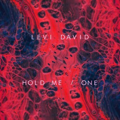 PREMIERE: Levi David - Hold Me [Bandcamp Exclusive]