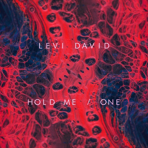 PREMIERE: Levi David - Hold Me [Bandcamp Exclusive]