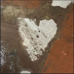 Salvezza Girl Prod. Robert Bishop (demo)