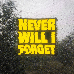 Never Will I Forget