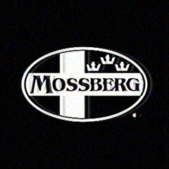 Married 2 My Gauge [Prod. SadSouljah]