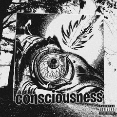 consciousness
