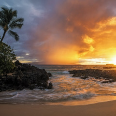 Storm Light