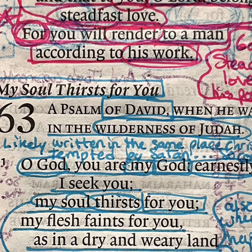 Psalm 63 - Mike Neff - (C,Am,Em,G)