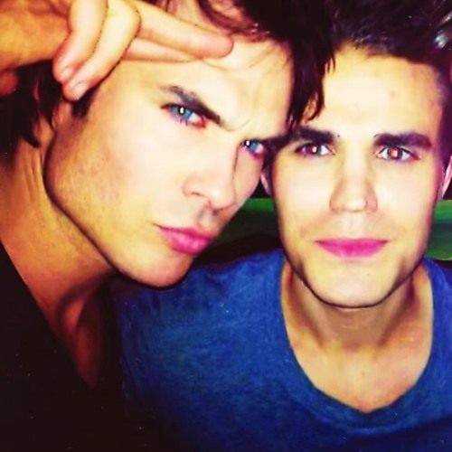 Damon Salvatore X Just your doll