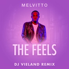 Melvitto - The Feels (DJ Vieland Remix)