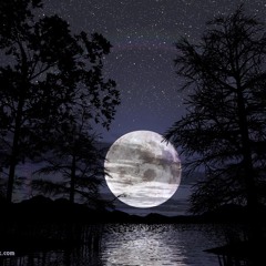 Matinée Di Mezzanotte