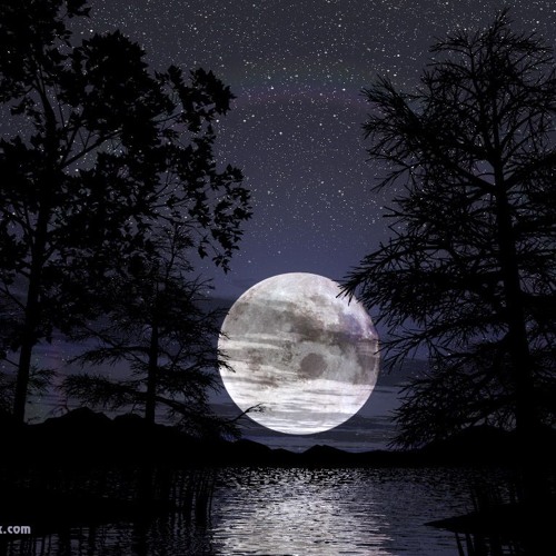 Matinée Di Mezzanotte