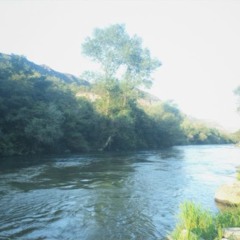 call me breh [9naks]