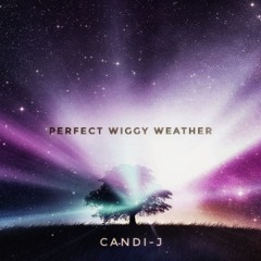 Perfect Wiggy Weather