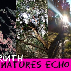 7RINTH - NATURES ECHO