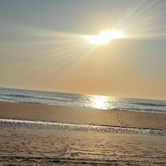 sunshine (1)